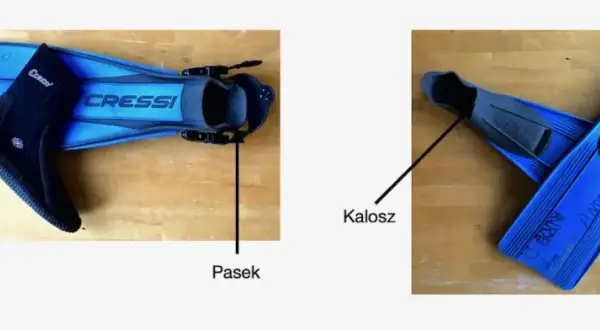Jakie płetwy do nauki pływania pomogą Ci uniknąć frustracji?